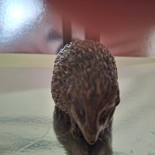 Buy & Sell Waterbrook Park Ashford - Photos for resins hedgehog ornament