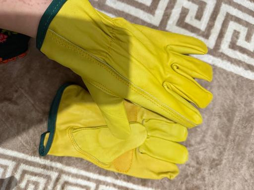 Buy & Sell Forest Fields Nottingham - Photos for Leather gloves