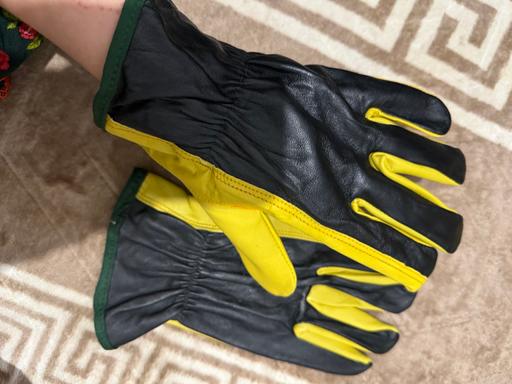 Buy & Sell Forest Fields Nottingham - Photos for Leather gloves