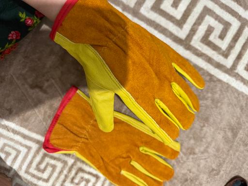 Buy & Sell Forest Fields Nottingham - Photos for Leather gloves