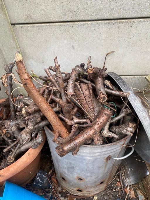 Buy & Sell East Ham East London - Photos for Fire wood for sale