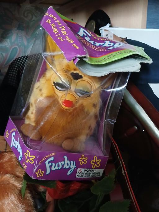 Buy & Sell Holly Hall Dudley - Photos for old furry at least. 30 years old