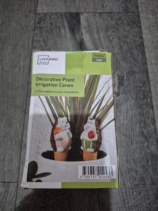 Buy & Sell Stourport-on-Severn Wyre Forest - Photos for plant cones