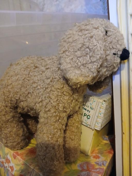 Buy & Sell Netherton Dudley - Photos for retro dog realy old