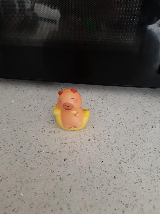 Buy & Sell South Hylton Sunderland - Photos for squishy