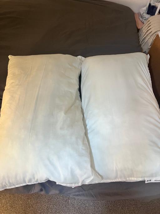 Buy & Sell Orpington Bromley - Photos for IKEA pillows