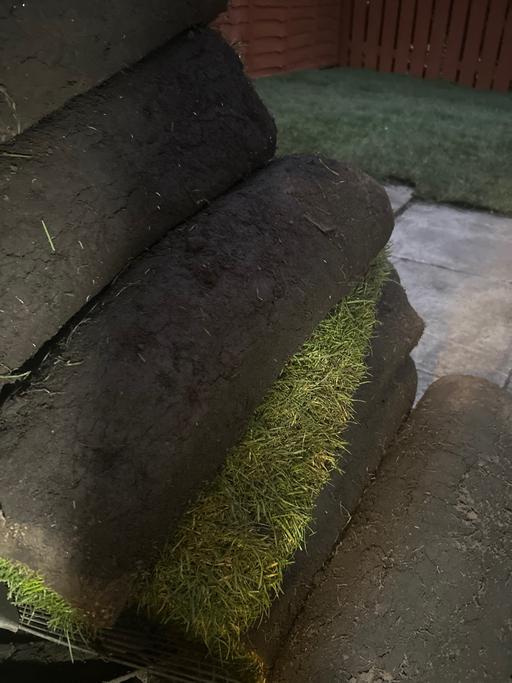 Buy & Sell Ushaw Moor County Durham - Photos for Rye Hold turf