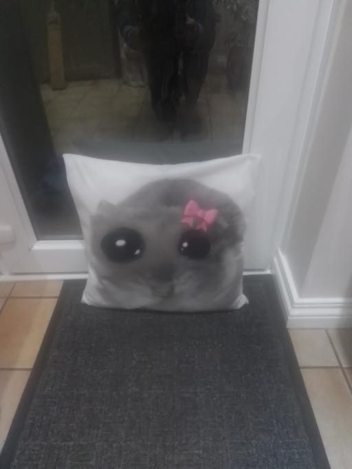 Buy & Sell Aldridge Walsall - Photos for GIRLS CUSHION