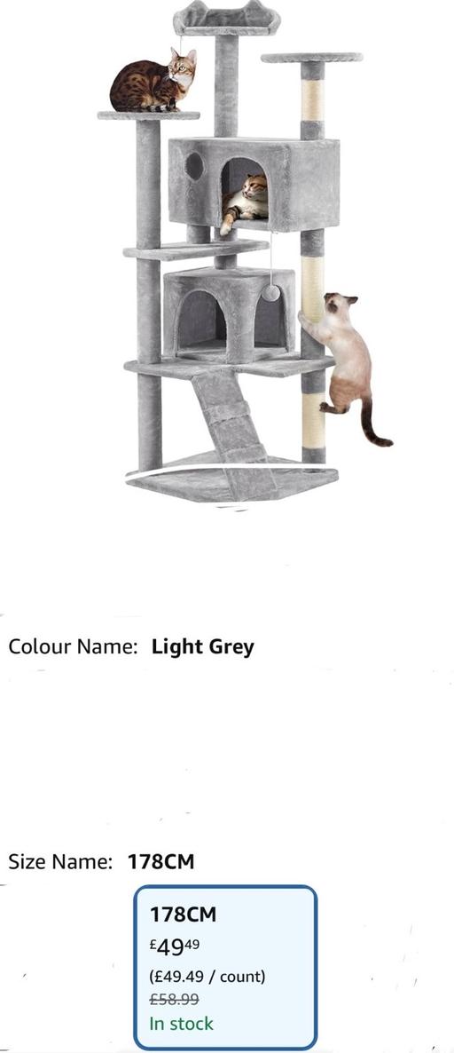 Buy & Sell Purfleet-on-Thames Thurrock - Essex - Photos for Cat climb