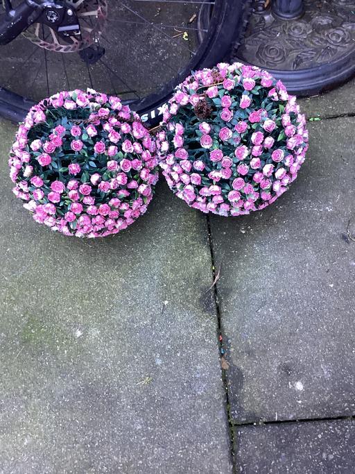 Buy & Sell Southdene Knowsley - Photos for X2 hanging pink flower balls