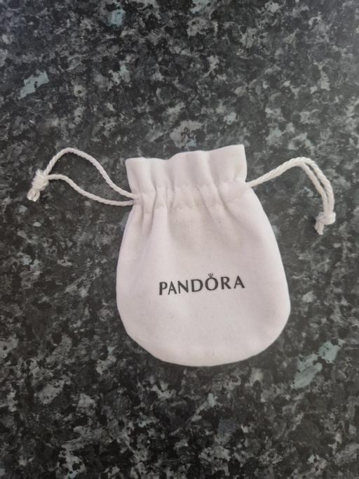 Buy & Sell Aylestone Leicester - Photos for Pandora gift bag