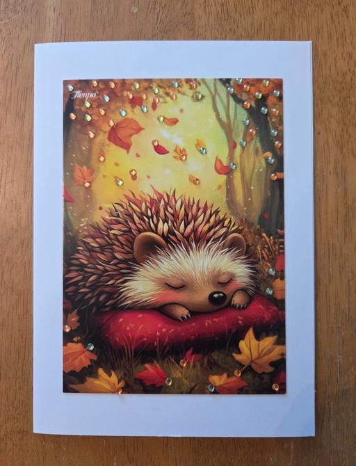 courses Westgate-on-Sea Thanet - Photos for HEDGEHOG CARD
