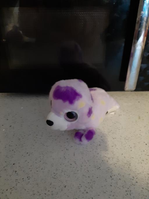 Buy & Sell South Hylton Sunderland - Photos for toy