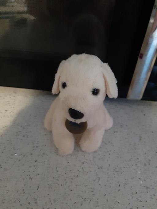 Buy & Sell South Hylton Sunderland - Photos for toy