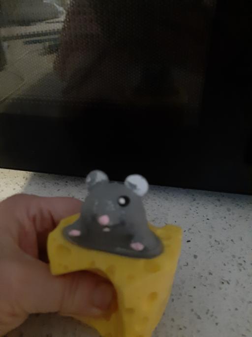 Buy & Sell South Hylton Sunderland - Photos for squeezey cheese