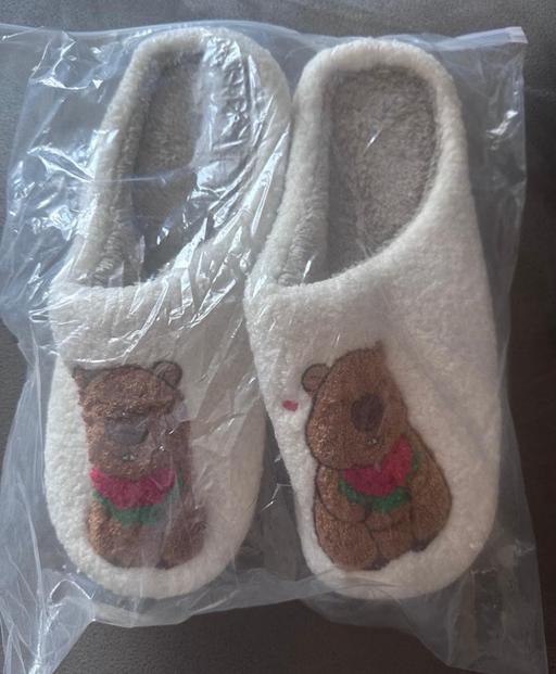Buy & Sell Minworth Trade Park Birmingham - Photos for Capybara Slippers Women’s Size 7-8 New