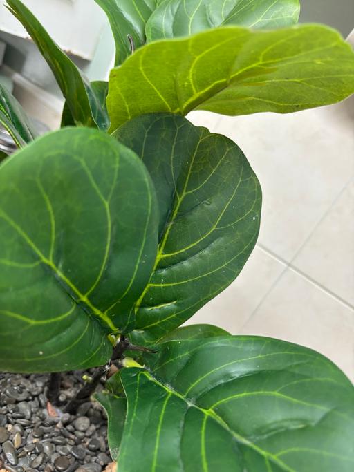 Buy & Sell Bartley Green Birmingham - Photos for Artificial plant in basket