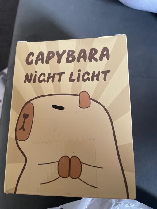 Buy & Sell Kings Heath Birmingham - Photos for New CapyBara Night Light