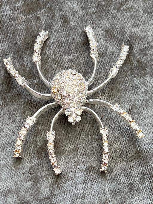 Buy & Sell Ovingdean Brighton - Photos for Beautiful large spider brooch