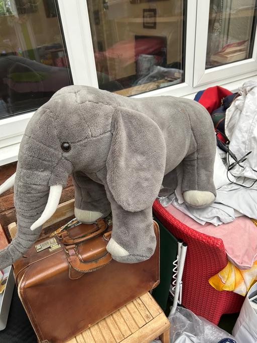 Buy & Sell Quinton Birmingham - Photos for Elephant teddy