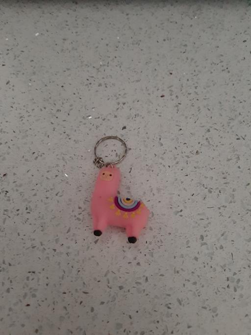 Buy & Sell South Hylton Sunderland - Photos for key ring