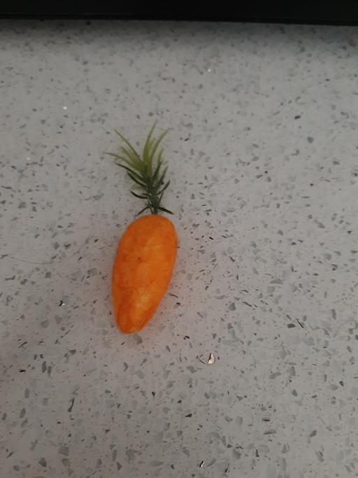 Buy & Sell South Hylton Sunderland - Photos for toy