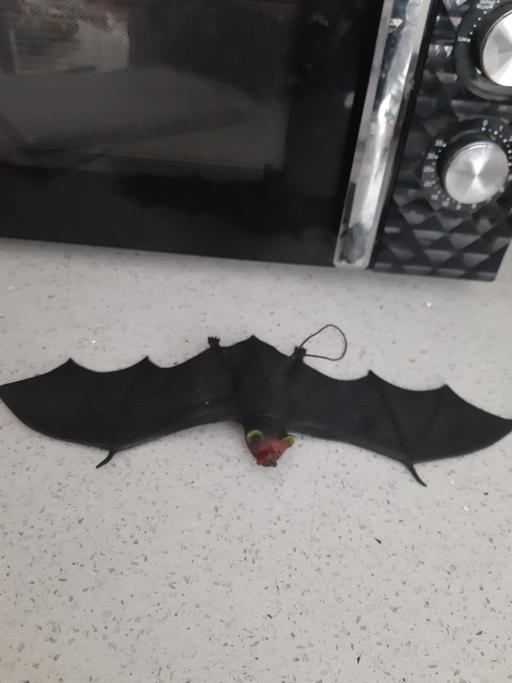 Buy & Sell South Hylton Sunderland - Photos for bat