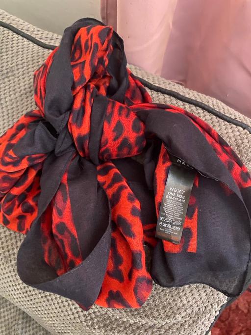 Buy & Sell Stannington Sheffield - Photos for Xl chiffon scarf by next