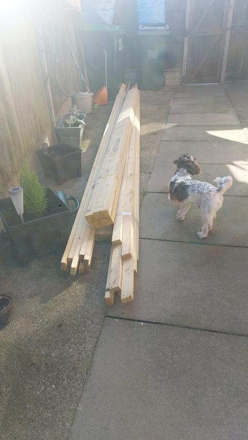 Buy & Sell West Bromwich Sandwell - Photos for 25x50 timber 30 pieces