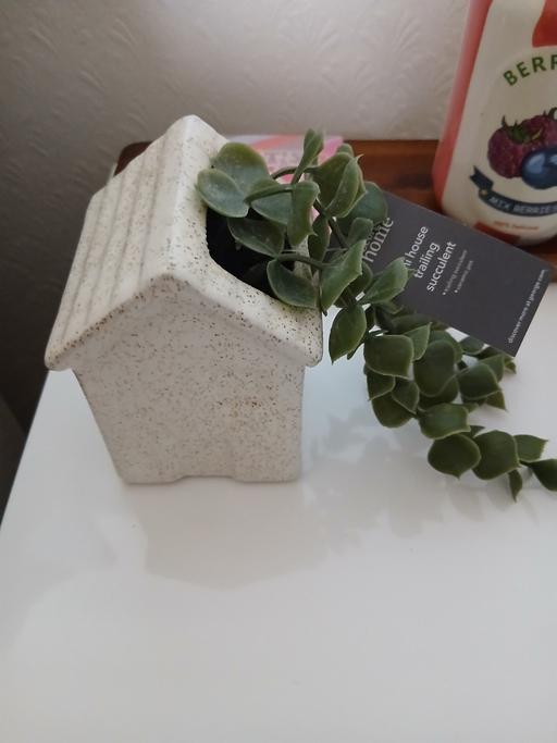 Buy & Sell Bradley Fold Trading Estate Bury - Photos for Artificial Home Decor New