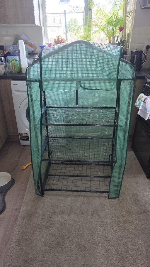Buy & Sell Woodsetton Dudley - Photos for greenhouse