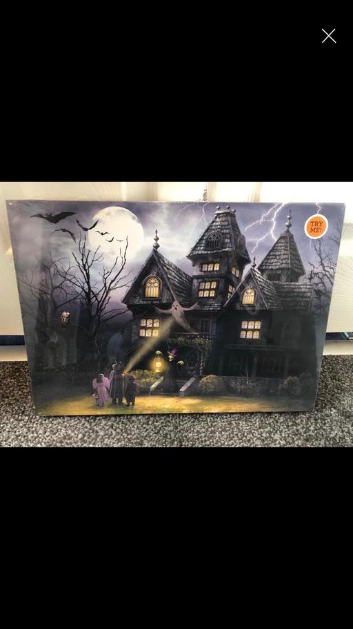 Buy & Sell Rainstorth Rotherham - Photos for Light up/sound Halloween picture
