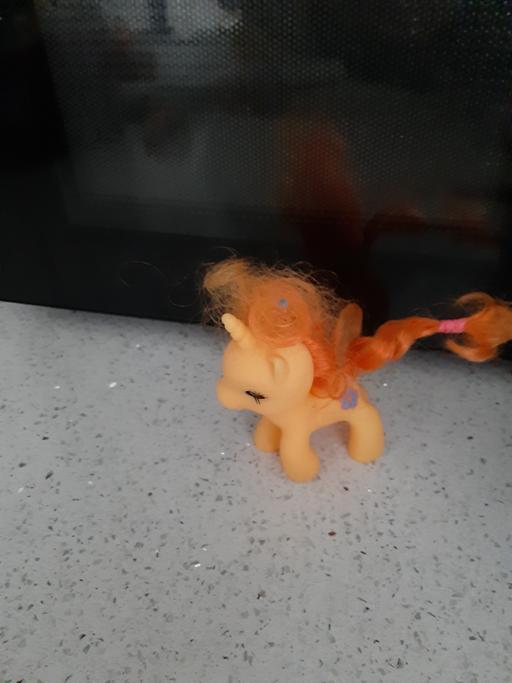 Buy & Sell South Hylton Sunderland - Photos for pony