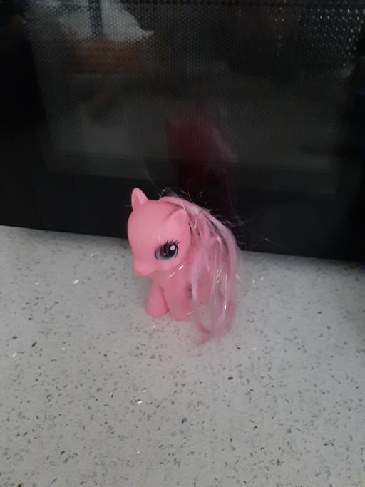 Buy & Sell South Hylton Sunderland - Photos for pony