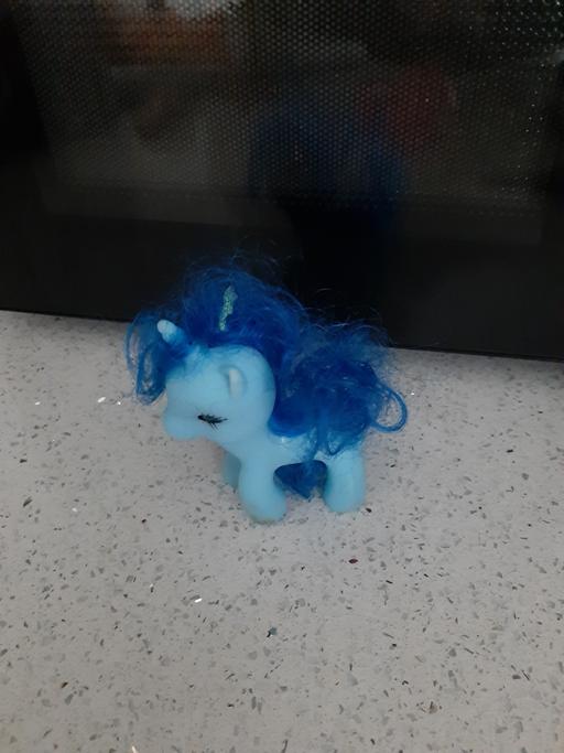 Buy & Sell South Hylton Sunderland - Photos for pony