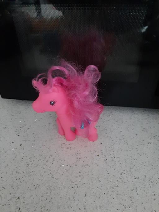 Buy & Sell South Hylton Sunderland - Photos for pony