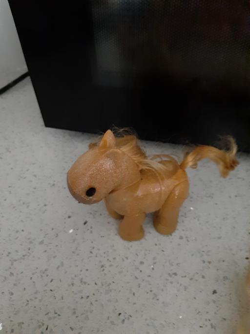 Buy & Sell South Hylton Sunderland - Photos for pony