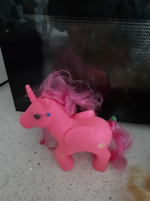 Buy & Sell South Hylton Sunderland - Photos for pony