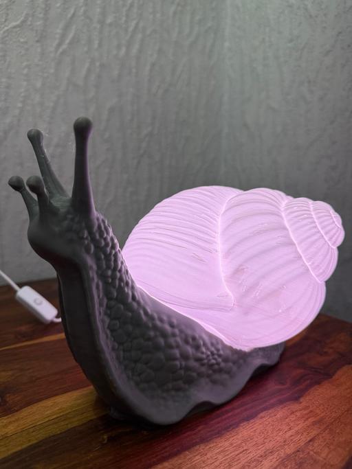 Buy & Sell Poulton Industrial Estate Wyre - Photos for Unique snail lamp with led light