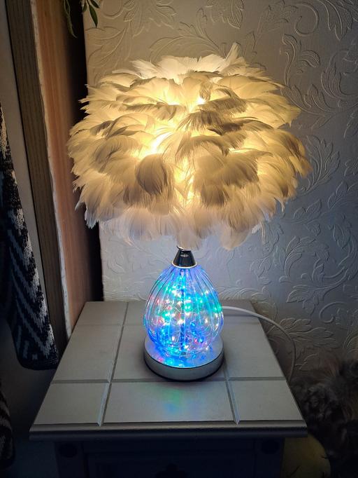 Buy & Sell Park Hill Sheffield - Photos for feather lamp 2 way light
