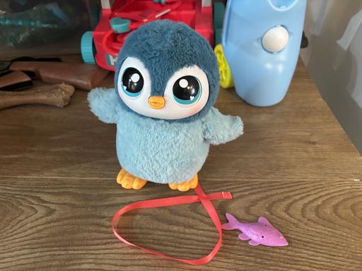 Buy & Sell Cofton Hackett Bromsgrove - Photos for Pets alive penguin