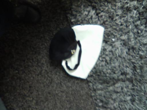 Buy & Sell Sutton Coldfield Birmingham - Photos for bags