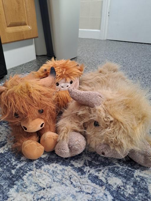 Buy & Sell Gleadless Valley Sheffield - Photos for new highland cow bundle