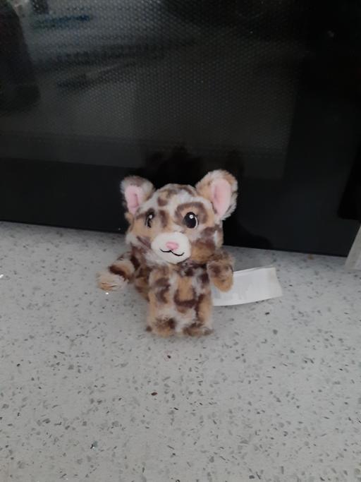 Buy & Sell South Hylton Sunderland - Photos for snap band