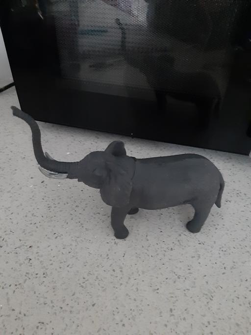Buy & Sell South Hylton Sunderland - Photos for elephant