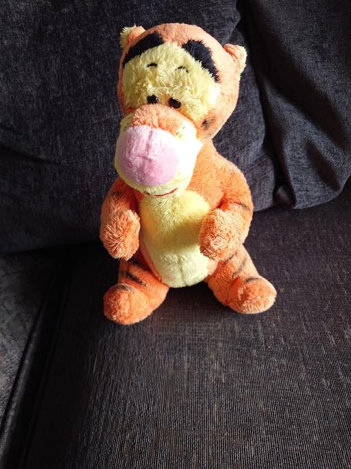 Buy & Sell Woodthorpe Charnwood - Photos for Tigger soft toy