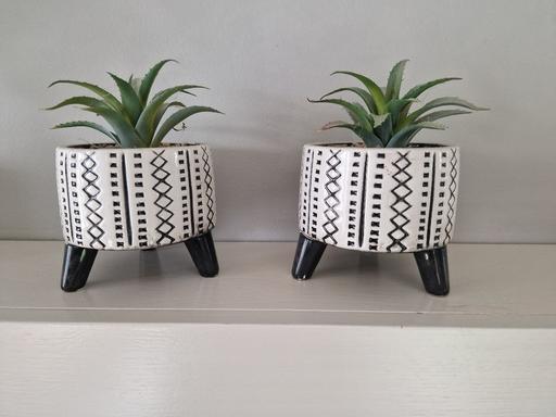 Buy & Sell Scholes Rotherham - Photos for 2 new artificial plants