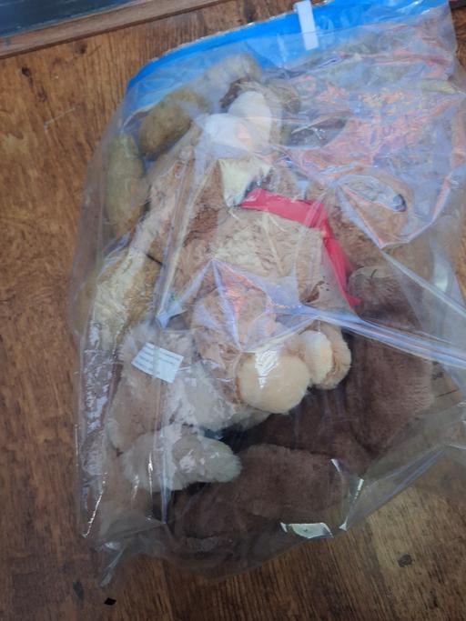 Buy & Sell Gazeley West Suffolk - Photos for teddys