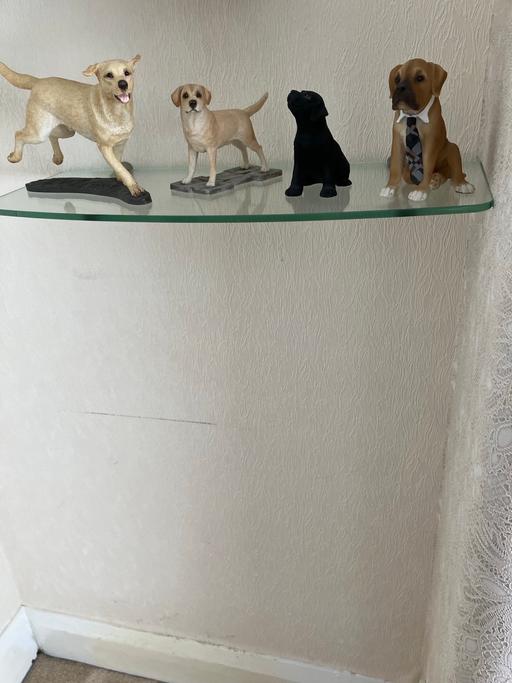 Buy & Sell Fazakerley Liverpool - Photos for Glass Shelves