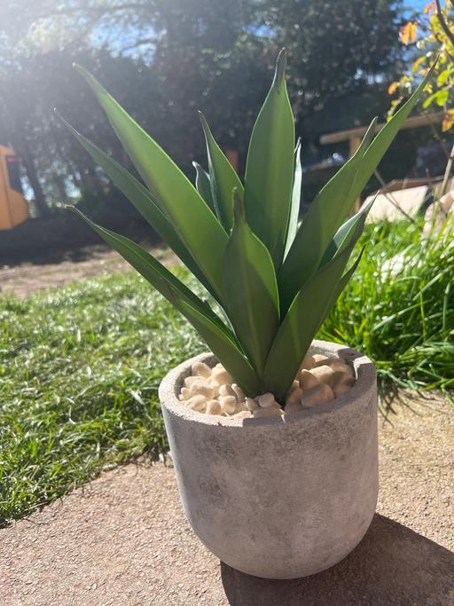 Buy & Sell Saxon Business Park Bromsgrove - Photos for Faux potted plant aloe Vera